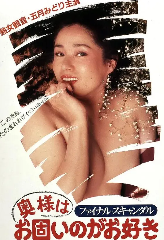 丑闻夫人封面图