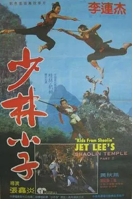 少林小子封面图