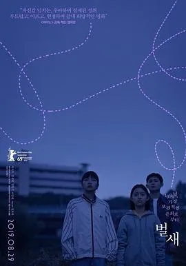蜂鸟封面图