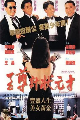 至尊计状元才封面图