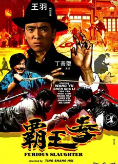 霸王拳封面图