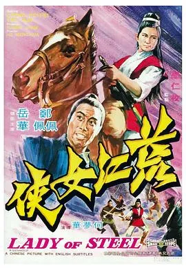 荒江女侠封面图