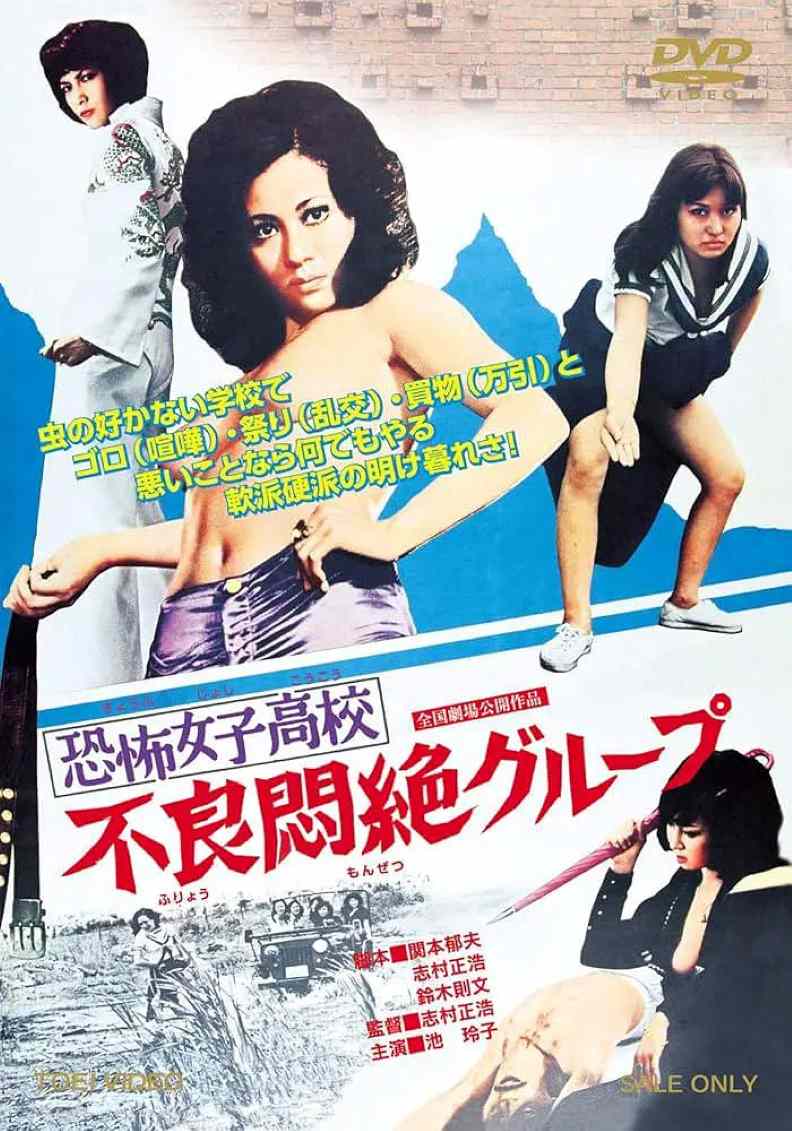 恐怖女子高校之不良超强集团封面图