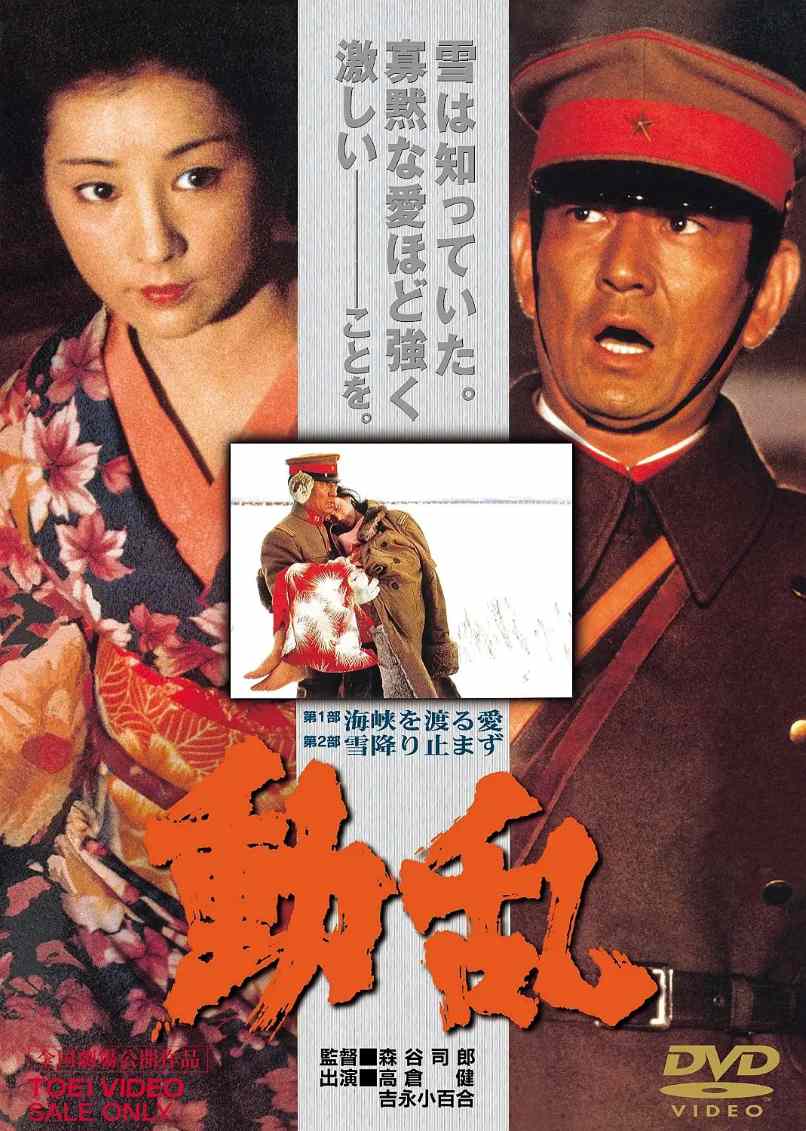 动乱封面图