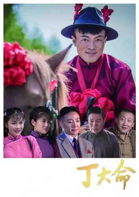 丁大命封面图