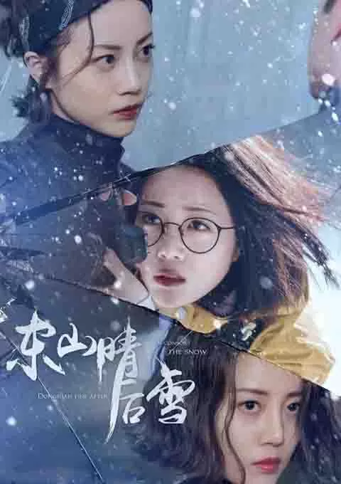 东山晴后雪封面图