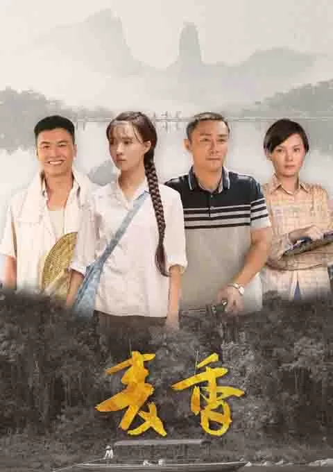 麦香封面图