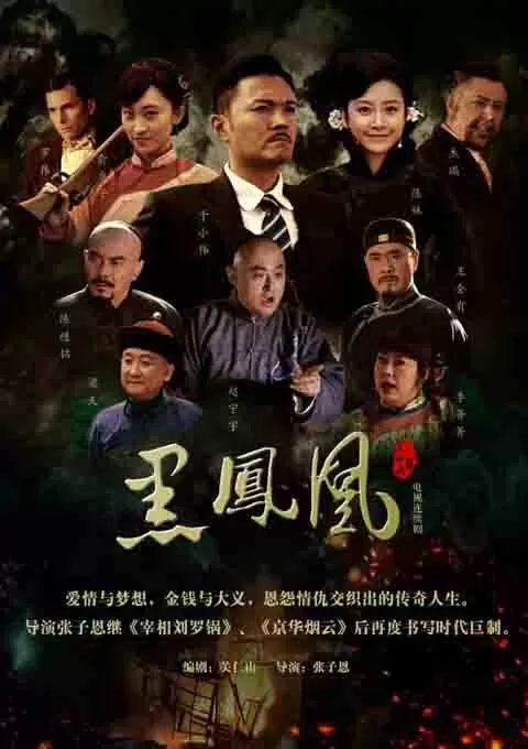 黑凤凰封面图