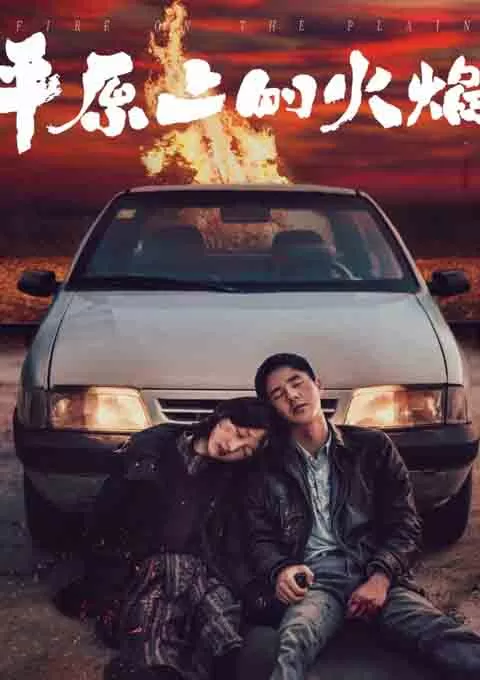 平原上的火焰封面图