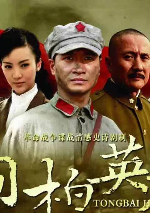 桐柏英雄封面图