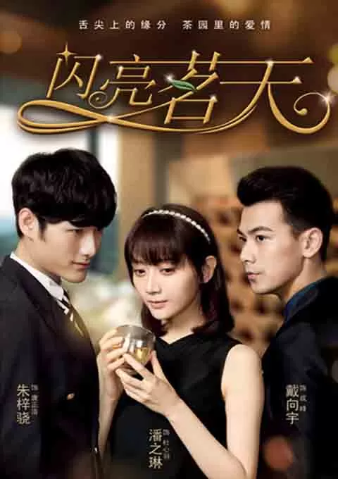 闪亮茗天封面图