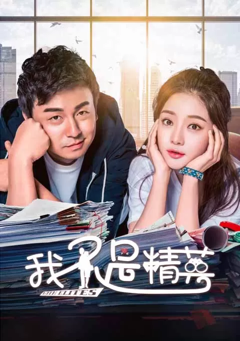 我不是精英封面图