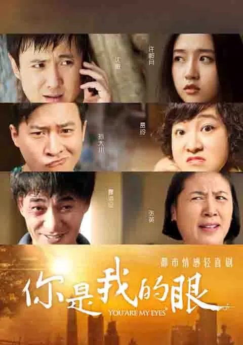 你是我的眼封面图