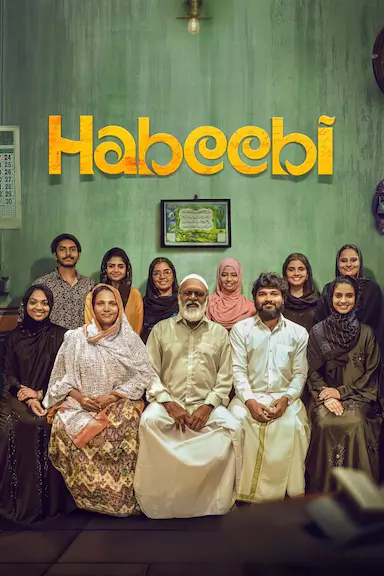 Habeebi封面图