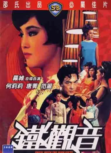 铁观音封面图