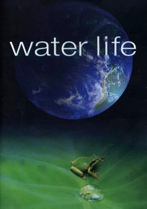 水世界封面图