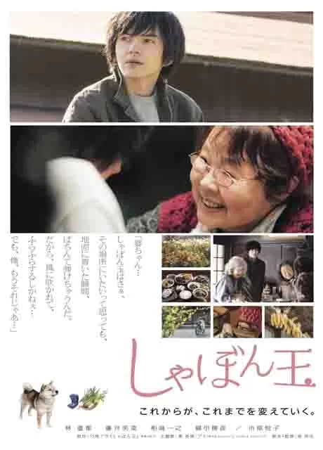 肥皂泡封面图