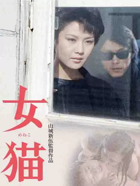 女猫封面图