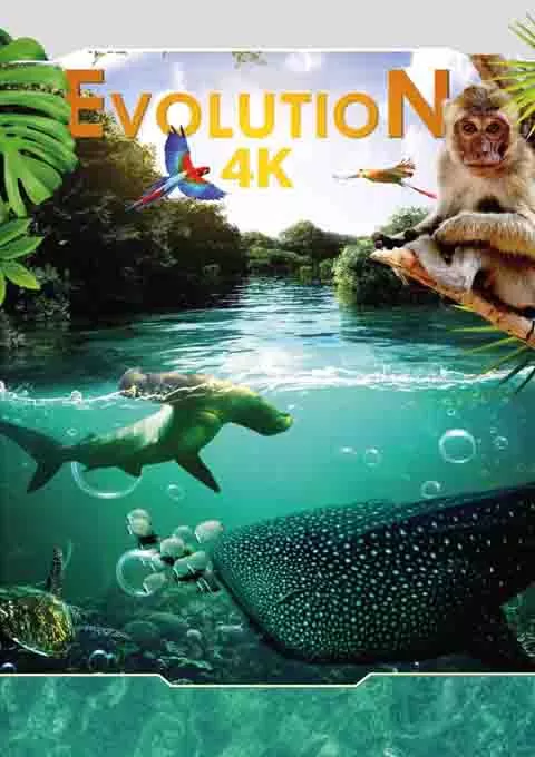 进化4K封面图