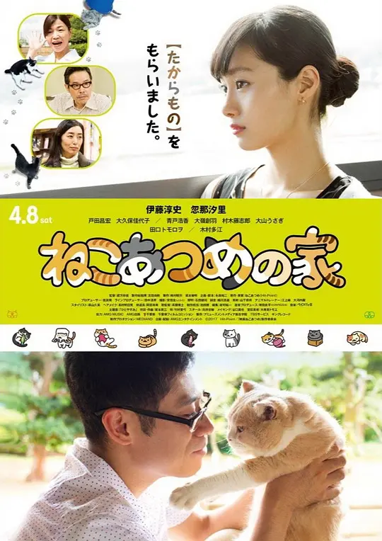 猫咪后院之家封面图