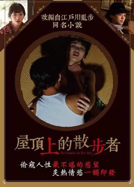 屋顶的散步者封面图