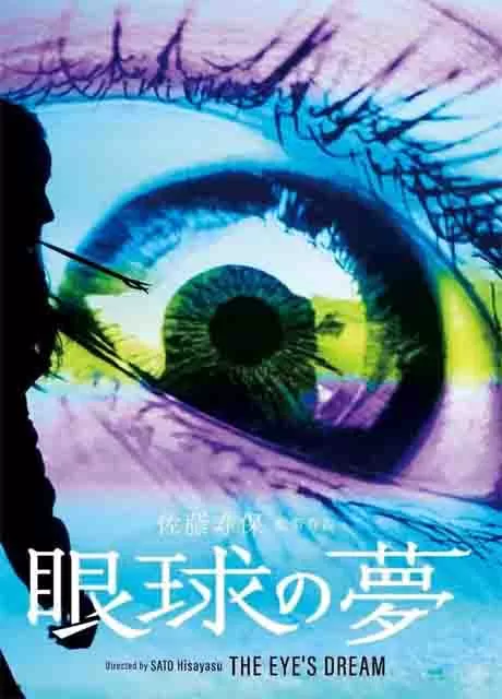 眼球的梦封面图