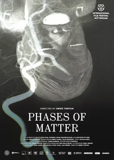 Phases of Matter封面图