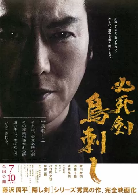 必死剑鸟刺封面图