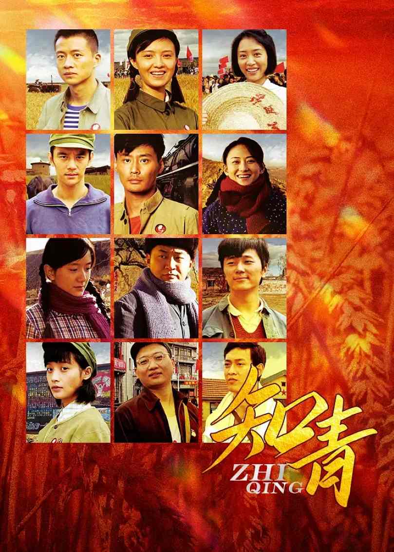 知青封面图