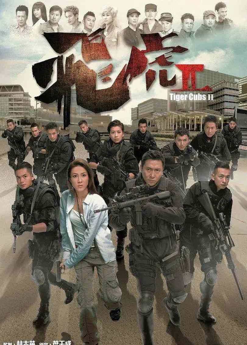 飞虎2封面图
