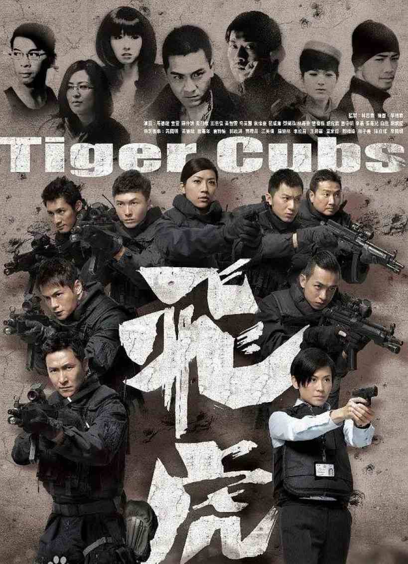 飞虎封面图