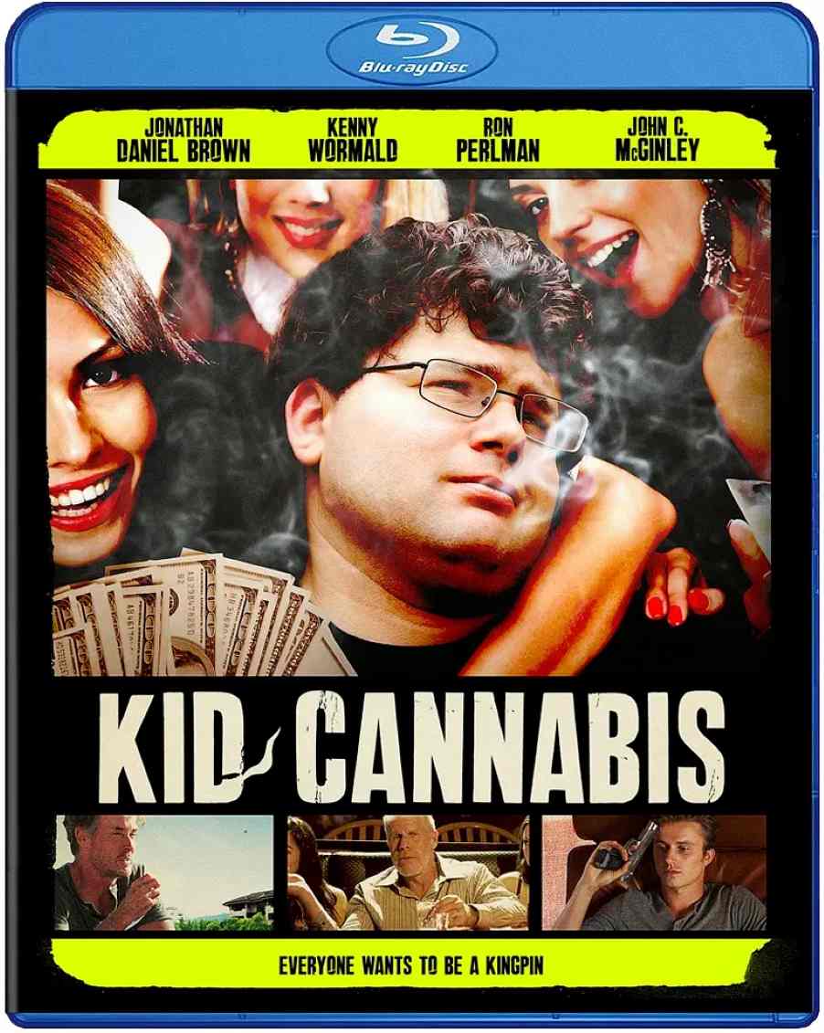 吸大麻的孩子封面图