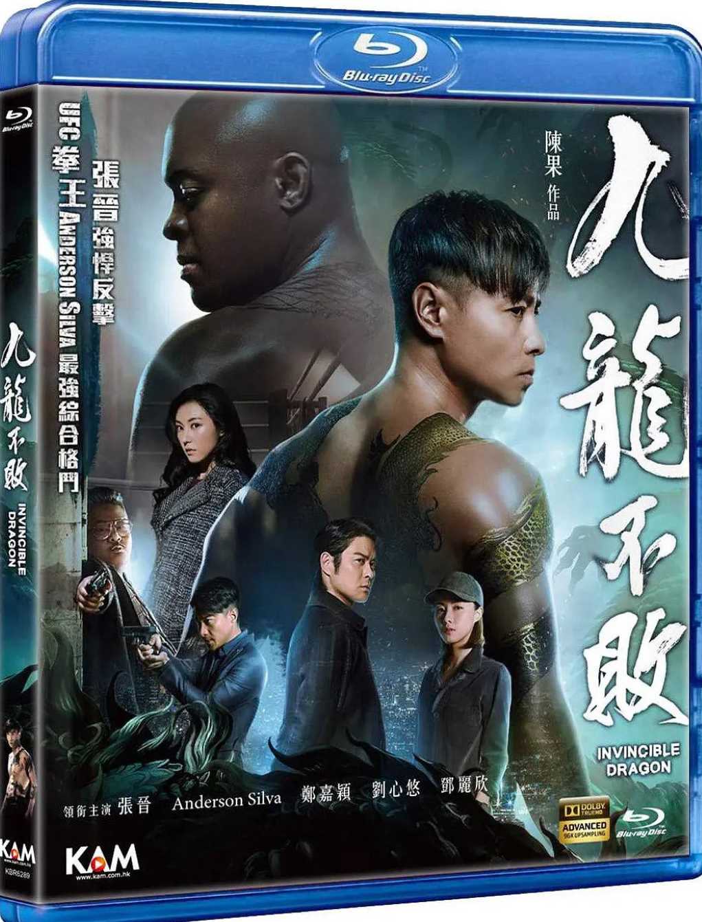 九龙不败封面图