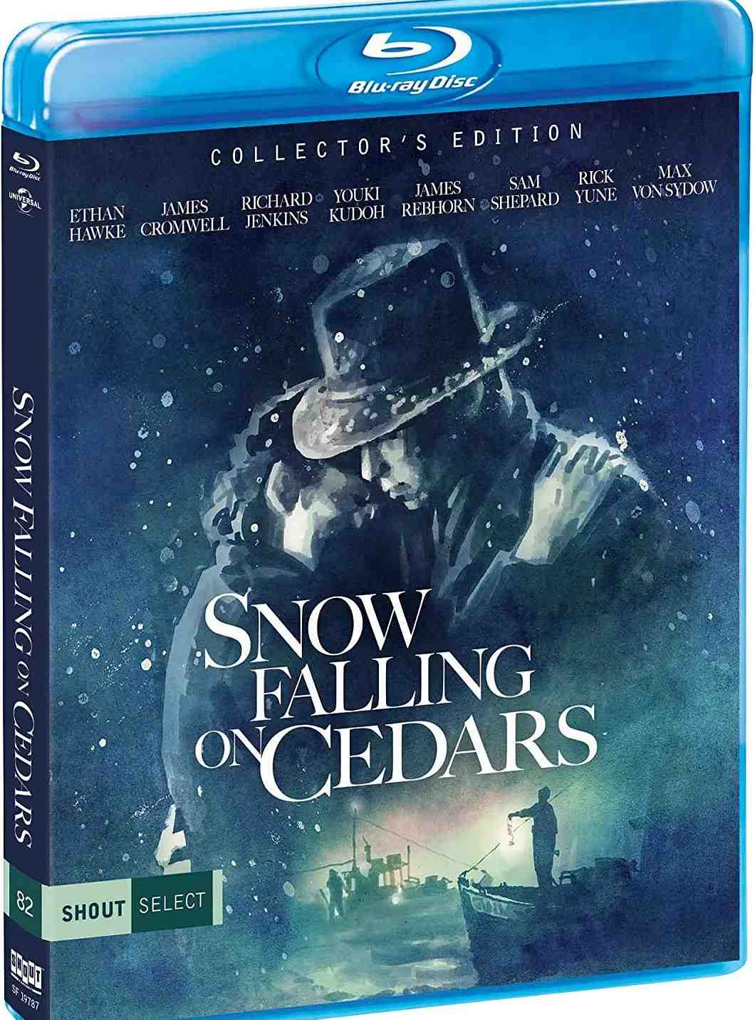 落在香杉树的雪花封面图