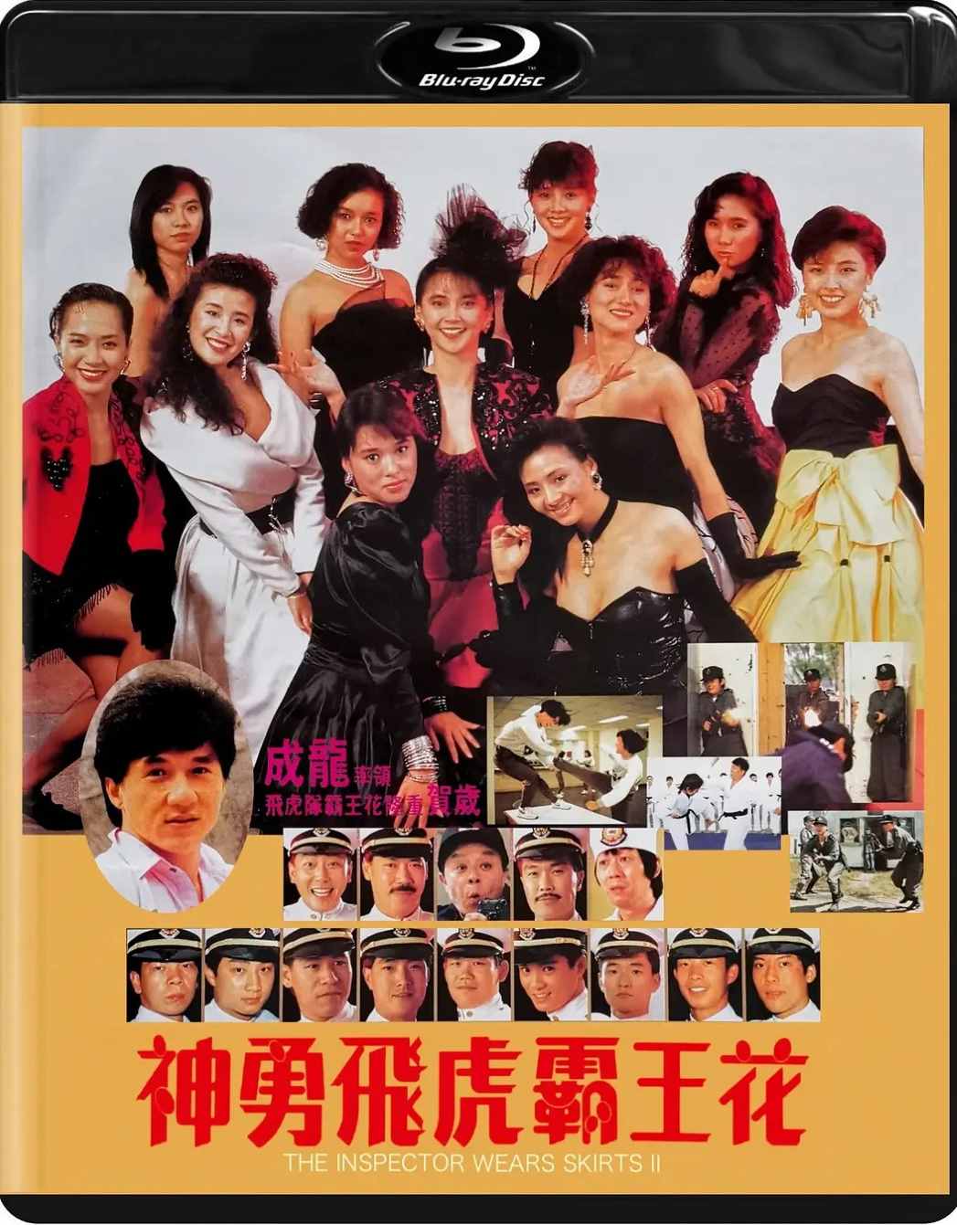 神勇飞虎霸王花封面图