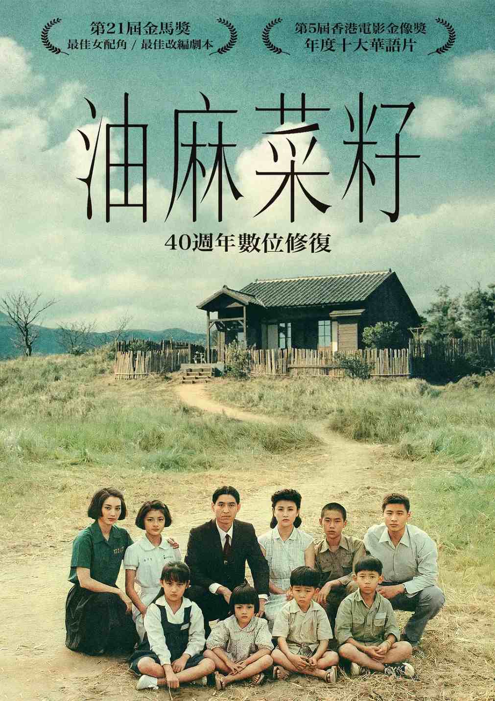 油麻菜籽封面图
