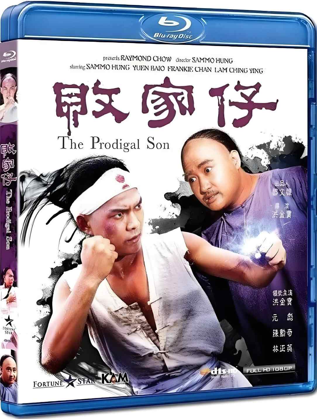 败家仔封面图