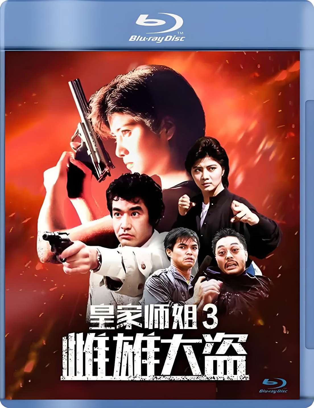 皇家师姐3：雌雄大盗封面图
