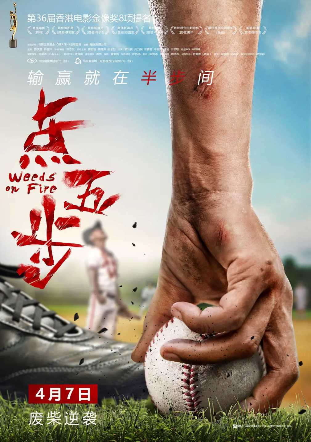 点五步封面图