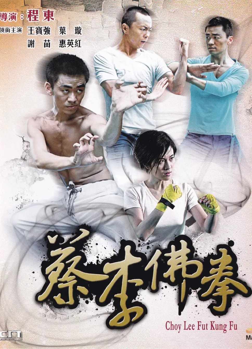 蔡李佛拳封面图