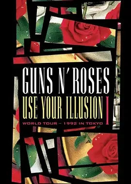 Guns N' Roses: Use Your Illusion封面图