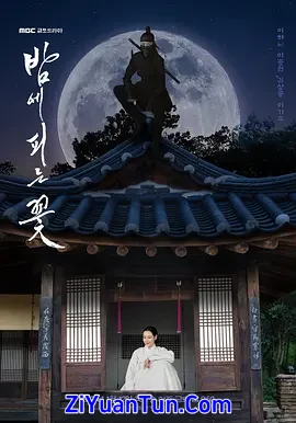 夜晚开的花封面图