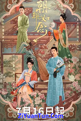 朝朝如念封面图