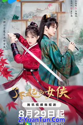 了不起的女侠封面图