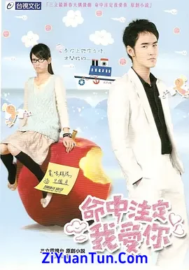 命中注定我爱你封面图