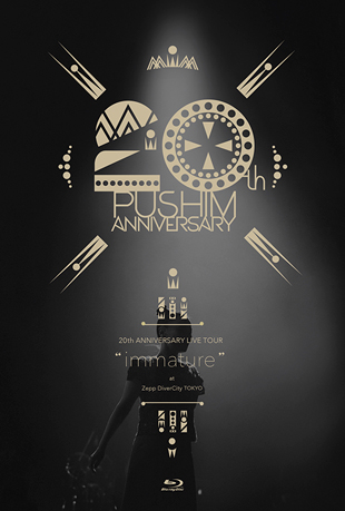 朴富心20周年纪念巡演演唱会封面图