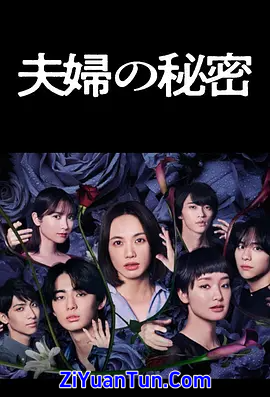 夫妇的秘密封面图