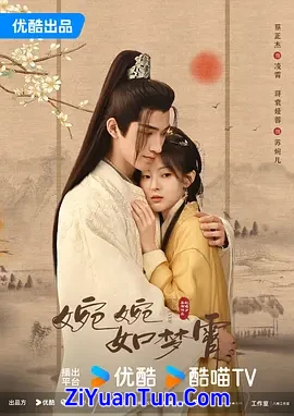 婉婉如梦霄封面图