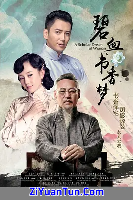 碧血书香梦封面图