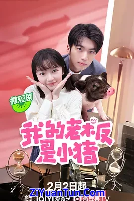 我的老板是小猪封面图
